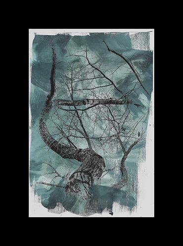 Winter tree studies in black and white with added textural backgrounds and special borders.