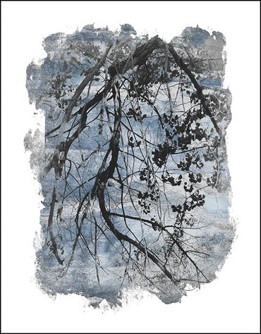 Black and white tree studies with textural background and specialty border inspired by Japanese wood
