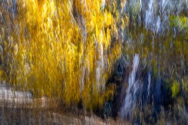 Fall color studies along the Santa Fe River using slow shutter speed and intentional camera movement