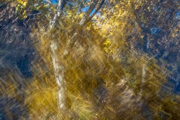 Fall color studies along the Santa Fe River West. Slow shutter, double exposure and intentional came