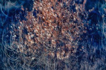 Winter color using slow shutter, double exposure.