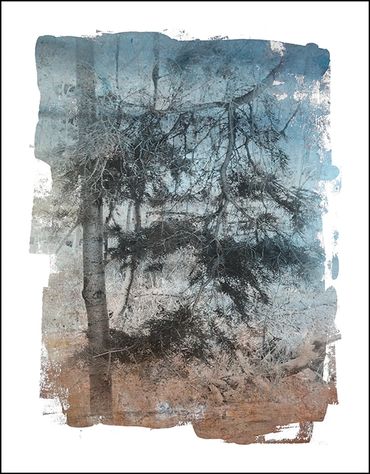 Black and white tree studies with textural background and specialty border inspired by Japanese wood