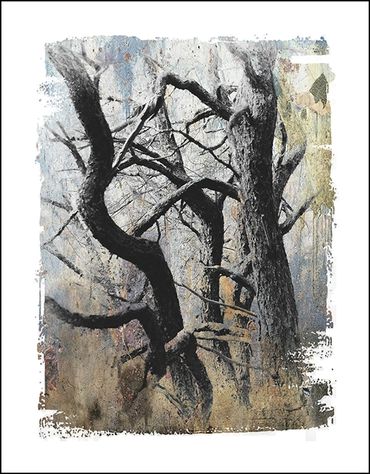 Black and white tree studies with textural background and specialty border, in the style of Japanese