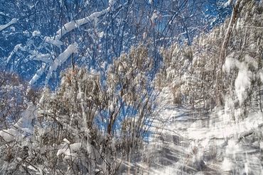 Exploring a snowy trail utilizing slow shutter, double exposure and intentional camera motion.