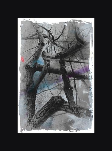 Black and White images of winter trees with textural backgrounds and borders.