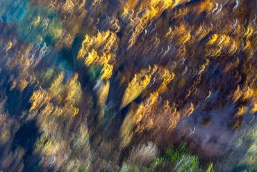 Fall color studies along the Santa Fe River using slow shutter speed and intentional camera movement