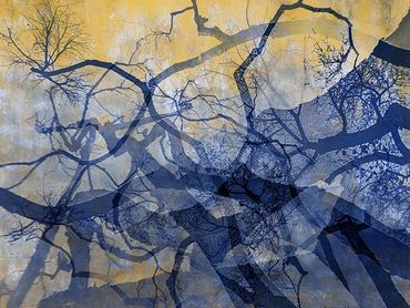 Winter tree studies with double exposure, added textures.