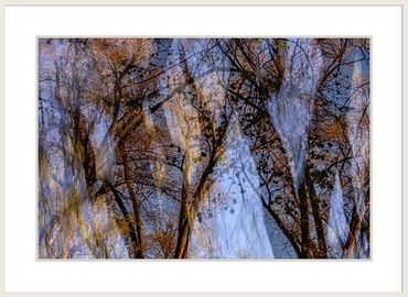 Notes in the Trees