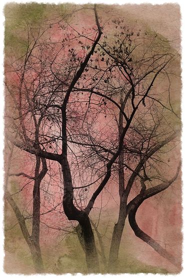 Ode to Spring