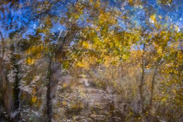 Fall color studies along the Santa Fe River West. Slow shutter, double exposure and intentional came