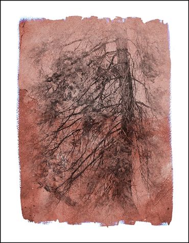 Black and white tree studies with textural background and specialty border inspired by Japanese wood