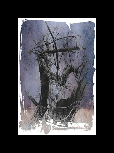 Winter tree studies in black and white with added textural backgrounds and special borders.