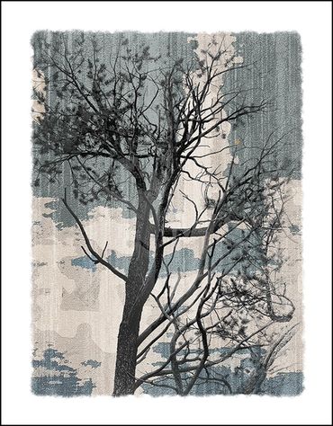 Black and white tree studies with textural background and specialty border, in the style of Japanese