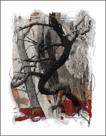 Black and white tree studies with textural background and specialty border, in the style of Japanese