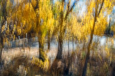 Fall color studies along the Santa Fe River using slow shutter speed and intentional camera movement