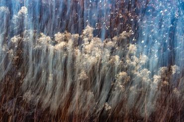 Winter color using slow shutter, double exposure.