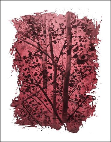 Black and white tree studies with textural background and specialty border inspired by Japanese wood