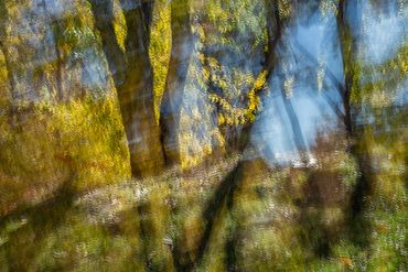 Fall color studies along the Santa Fe River using slow shutter speed and intentional camera movement