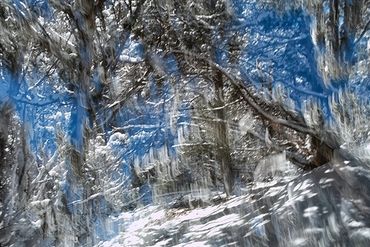 Exploring a snowy trail utilizing slow shutter, double exposure and intentional camera motion.
