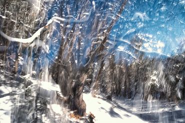 Exploring a snowy trail utilizing slow shutter, double exposure and intentional camera motion.