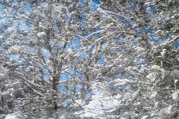 Exploring a snowy trail utilizing slow shutter, double exposure and intentional camera motion.Sno