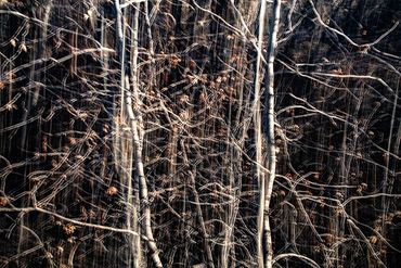 Winter color using slow shutter, double exposure.