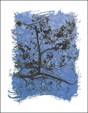 Black and white tree studies with textural background and specialty border inspired by Japanese wood