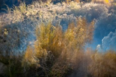 Fall color studies along the Santa Fe River West. Slow shutter, double exposure and intentional came