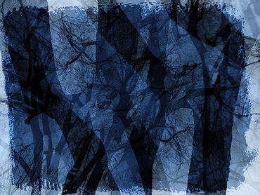 Double exposure studies of Siberian Elms in downtown Santa Fe, NM.