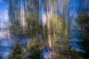 Summer Tree Studies using slow shutter speeds and intentional camera motion to create a more painter