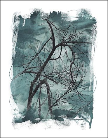 Black and white tree studies with textural background and specialty border inspired by Japanese wood