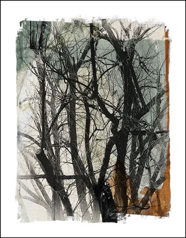 Black and white tree studies with textural background and specialty border, in the style of Japanese