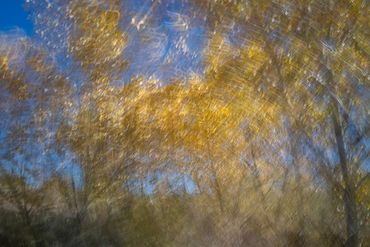 Fall color studies along the Santa Fe River West. Slow shutter, double exposure and intentional came
