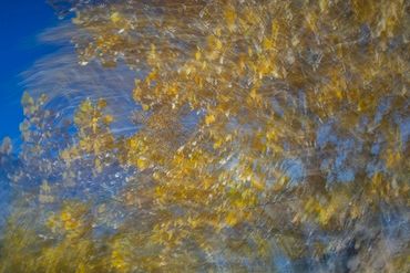 Fall color studies along the Santa Fe River West. Slow shutter, double exposure and intentional came