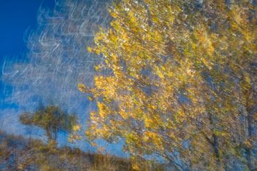 Fall color studies along the Santa Fe River West. Slow shutter, double exposure and intentional came