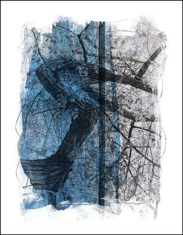 Black and white tree studies with textural background and specialty border, in the style of Japanese