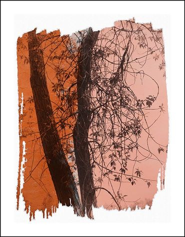 Black and white tree studies with textural background and specialty border inspired by Japanese wood