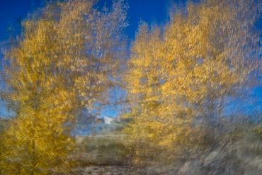 Fall color studies along the Santa Fe River West. Slow shutter, double exposure and intentional came