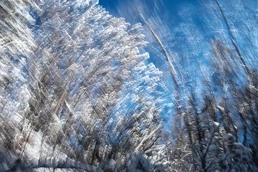 Exploring a snowy trail utilizing slow shutter, double exposure and intentional camera motion.
