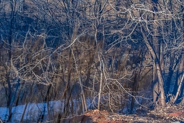 Winter color using slow shutter, double exposure.