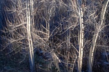 Winter color using slow shutter, double exposure.