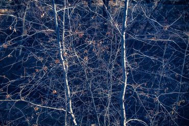 Winter color using slow shutter, double exposure.