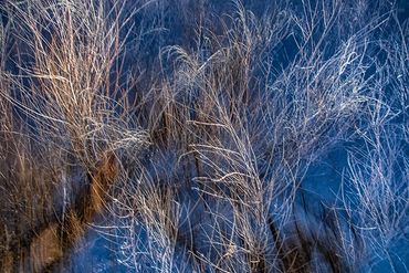 Winter color using slow shutter, double exposure.