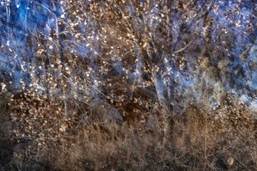 Winter color using slow shutter, double exposure.