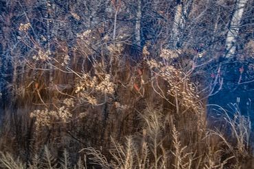 Winter color using slow shutter, double exposure.