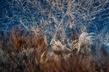 Winter color using slow shutter, double exposure.