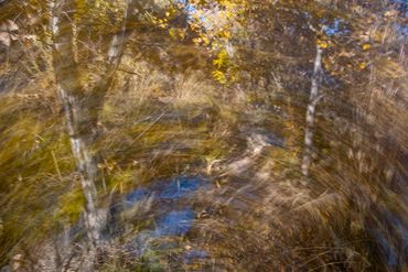 Fall color studies along the Santa Fe River West. Slow shutter, double exposure and intentional came