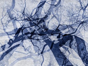 Winter tree studies with double exposure, added textures.