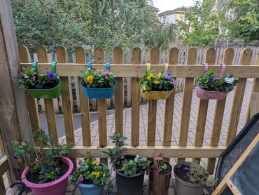 Colorful flowers in pots hanging on a wooden fence with more potted plants below.