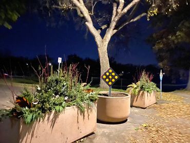 Community planters decorated berries, magnolia, spruce tops, juniper, eucalyptus, and lotus.